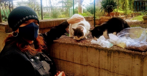 Bari, la vita dei 203 gattari "tesserati" dal Comune: �Spese per i mici tutte a nostro carico�